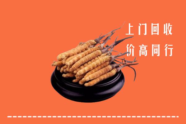 收购行情：嘉兴秀洲区回收散虫草