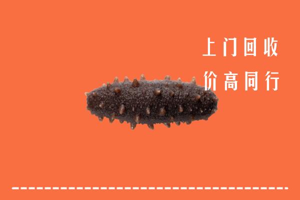 嘉兴秀洲区回收海参