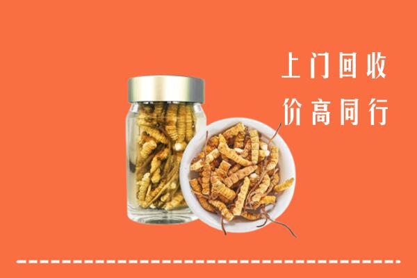 嘉兴秀洲区回收冬虫夏草